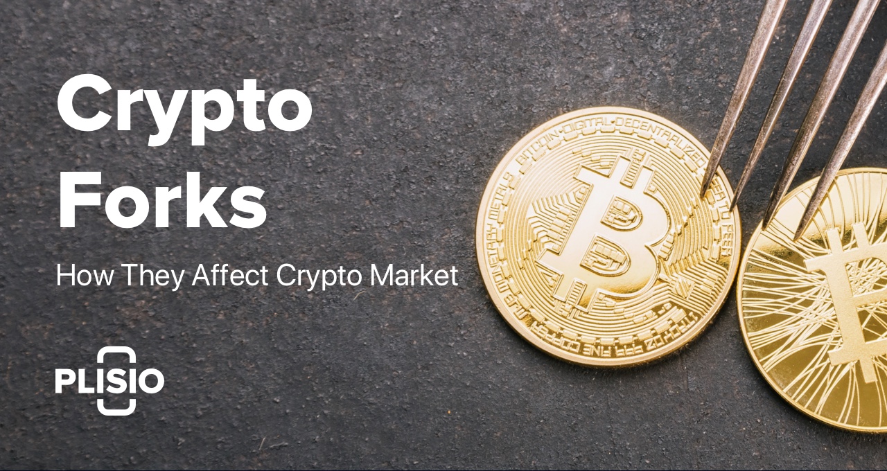 What Are Crypto Forks and How They Affect Crypto Market