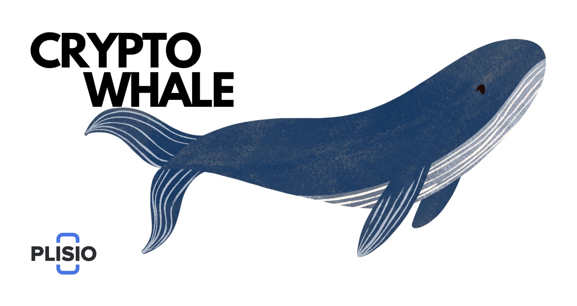 Crypto Whale Impact: Understanding Their Effect on Market Movements
