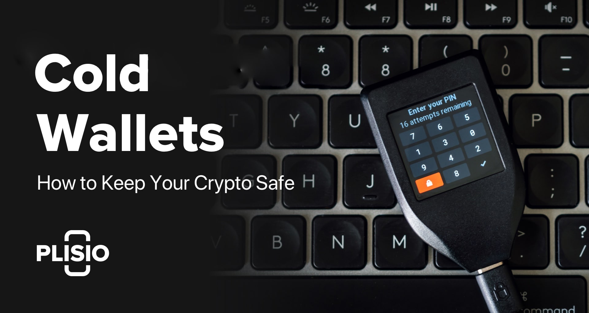 Best Cold Wallet Crypto