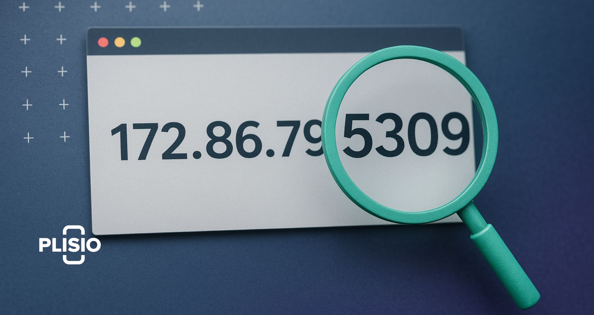 IP Address Lookup